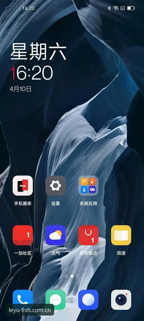 乐鱼体育稳定观赛的实用指南：从下载到流畅体验的完整攻略